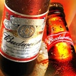 Bud