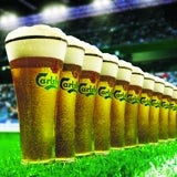 /x/m/p/carlsberg160.jpg
