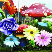/t/i/f/Mushrooms.jpg