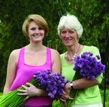 /h/i/h/flowers.jpg