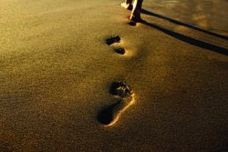 /i/b/k/footprints250.jpg