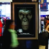 /o/d/y/PlanetoftheApesOutdoor.jpg