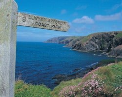 ceibwr bay