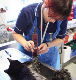 rspca