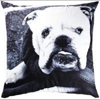 /e/g/p/cushion.jpg