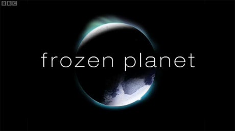 frozen planet