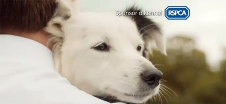rspca