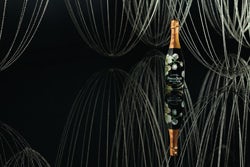 Perrier-Jouel-product-2013-250