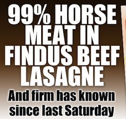 Horse meat scandal