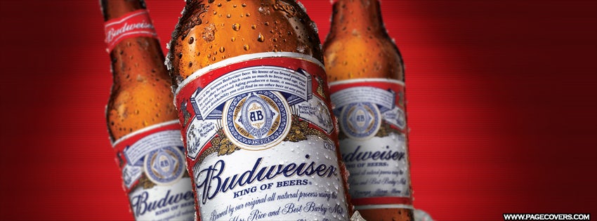 Budweiserbottles-Product-2013