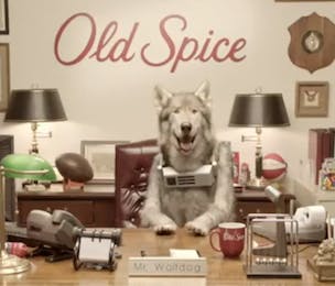 Can i use old spice on my clearance dog