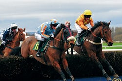 Horse-racing-Paolo-Camera-250