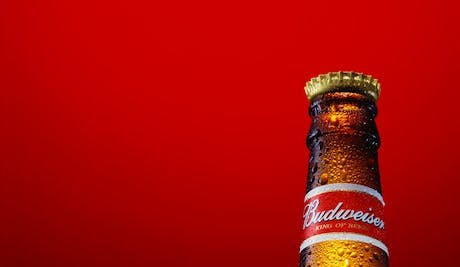 Budweiser marketing push lifts UK sales