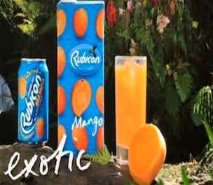 Rubicon-Product-2013_304