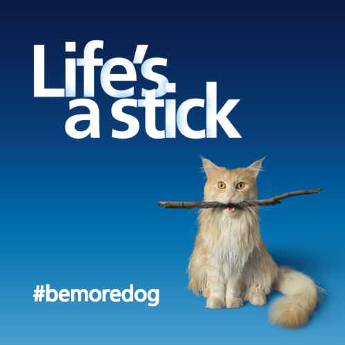 O2 Be More Dog campaign
