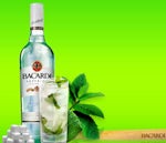 bacardi