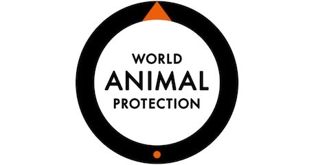 worldanimalprotection-2014-460