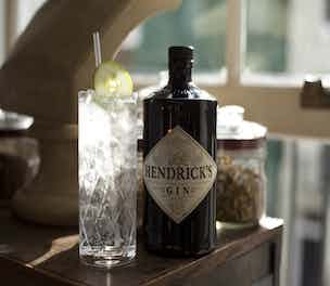 HendricksGine-Product-2014_304