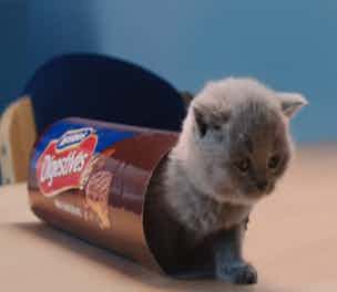 McVitiesBiscuits-Campaign-2014_304