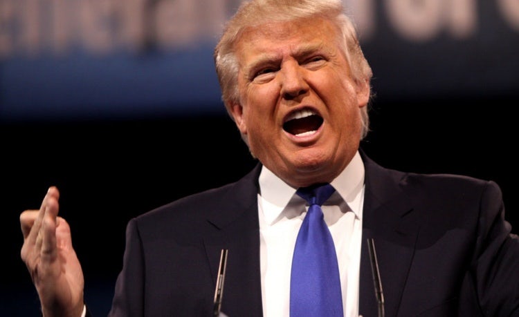 Donald Trump US Election
