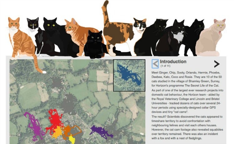 resize-bbc-cats