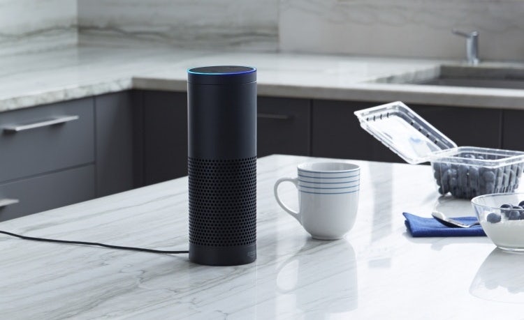 Amazon echo voice search