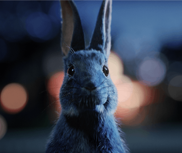 O2 Follow the Rabbit marketing campaign
