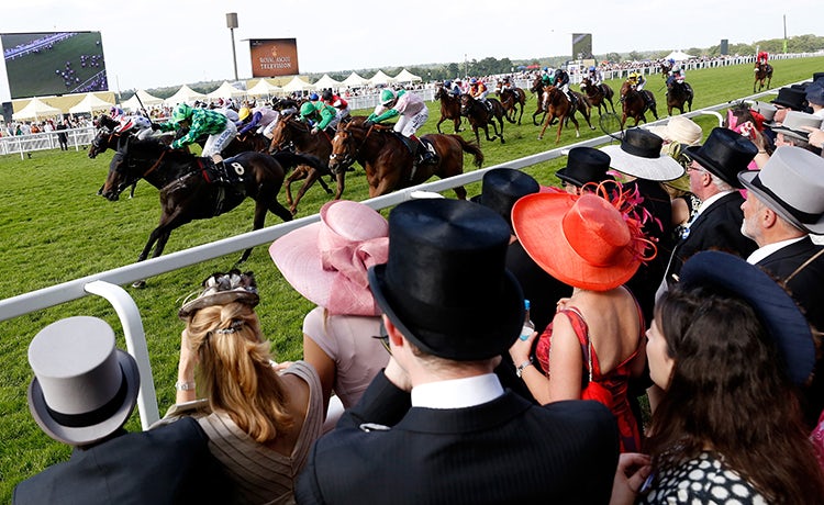 Ascot