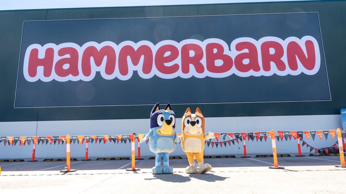 Bluey and Bunnings' tie-up demonstrates all the benefits of co-branding