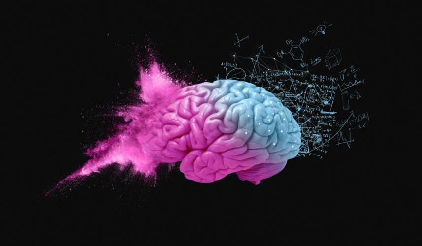 Data and creative brain