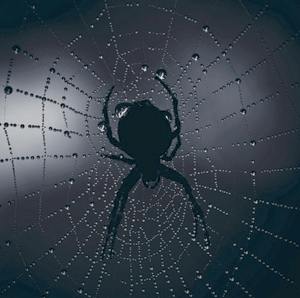 Confounded by the complexity of the web?