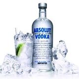 /b/p/u/absolut160.jpg