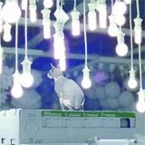 /u/d/p/ikea160.jpg