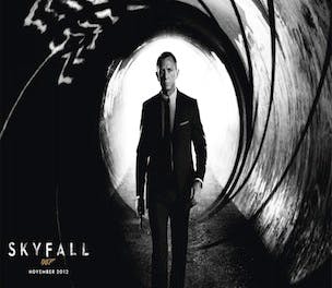 SkyfallLogo304