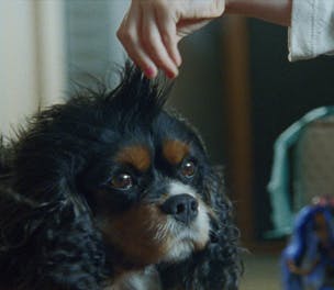 Boots chirstmas ad