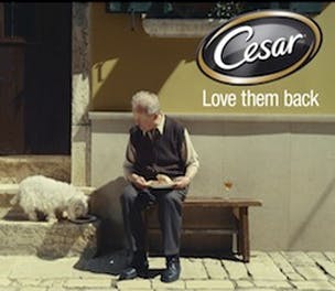cesar-ad-2013-304