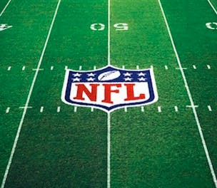 NFL-Logo-2013_304