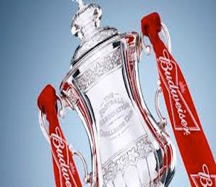 The FA Cup's partnership with Budweiser ended last season