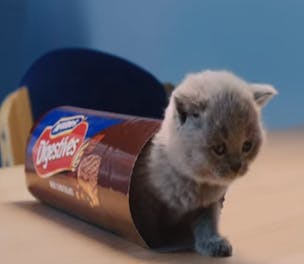 McVitiesBiscuits-Campaign-2014_304