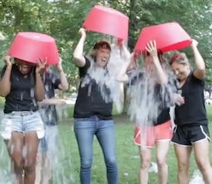 ice bucket 304