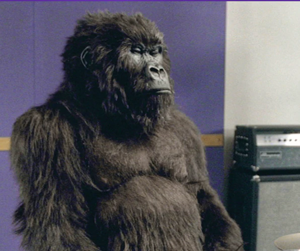 Cadbury Gorilla