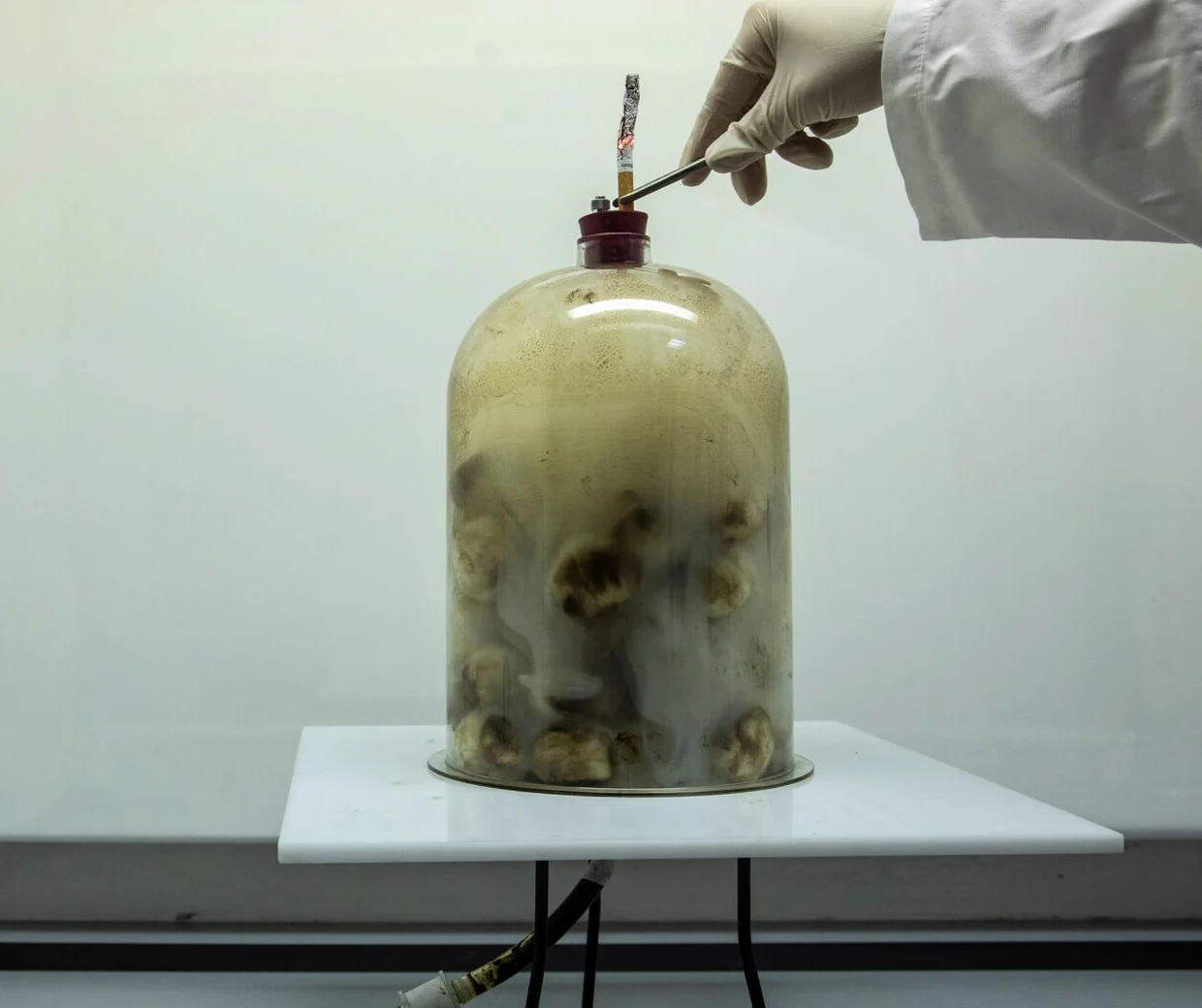 cigarette experiment Public Health England on the challenge of keeping the sugar and anti-smoking agendas 'alive' cigarette experiment Public Health England on the challenge of keeping the sugar and anti-smoking agendas 'alive'