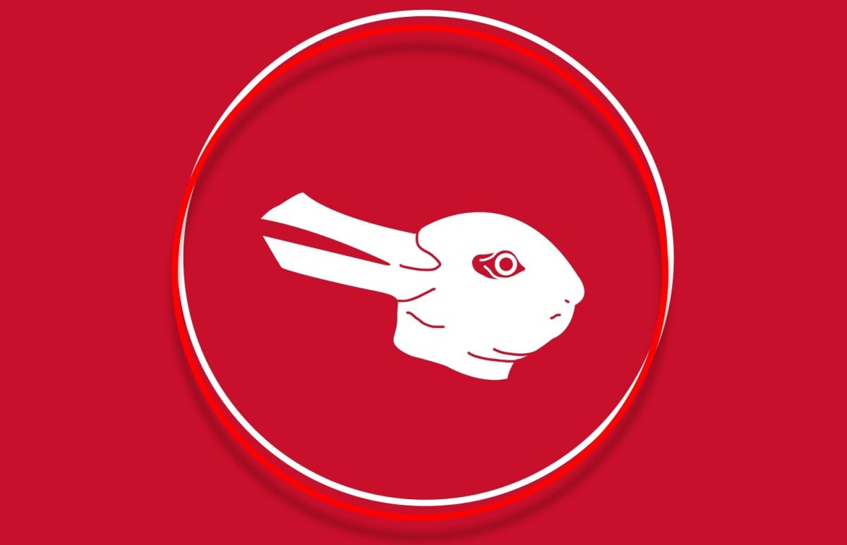 Is your marketing plan a rabbit or a duck?