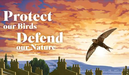 Why RSPB wants to be ‘more than a bird charity’