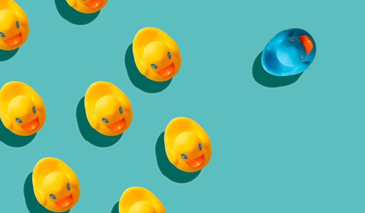 Relationships neglected