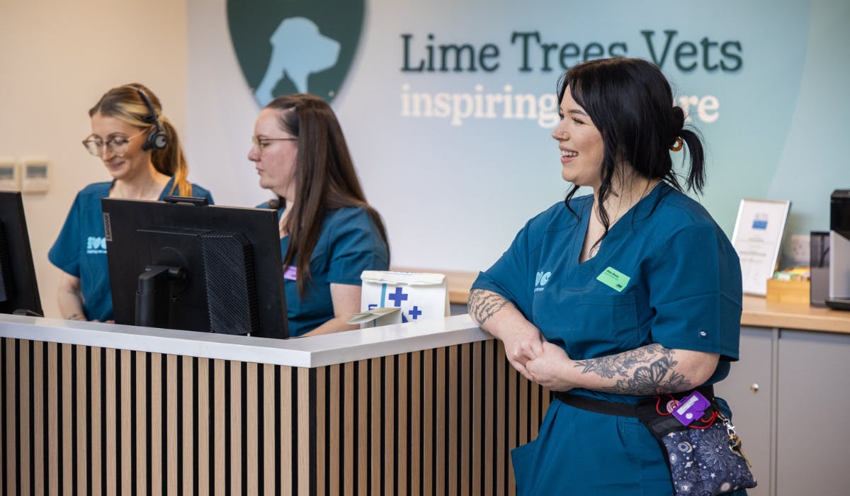 IVC Evidensia on fixing its brand architecture in a category with ‘no marketing playbook’